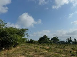  Land for sale in Phuket, Thep Krasattri, Thalang, Phuket