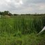  Land for sale in Pathum Thani, Lak Hok, Mueang Pathum Thani, Pathum Thani