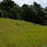  Land for sale in Rionegro, Antioquia, Rionegro