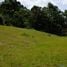  Land for sale in Antioquia, Rionegro, Antioquia