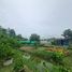  Land for sale in Khlong Ha, Khlong Luang, Khlong Ha