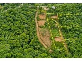 Grundstück zu verkaufen in Jose Santos Guardiola, Bay Islands, Jose Santos Guardiola, Bay Islands