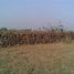  Land for sale in Bhopal, Bhopal, Bhopal