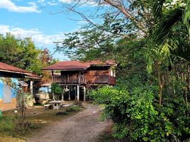  Grundstück zu verkaufen in Taphan Hin, Phichit, Nong Phayom, Taphan Hin