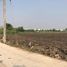  Land for sale in Thailand, Phrong Maduea, Mueang Nakhon Pathom, Nakhon Pathom, Thailand