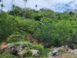  Land for sale in Samui International Airport, Bo Phut, Bo Phut