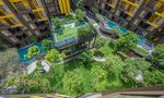 Communal Garden Area at THE BASE Central Phuket