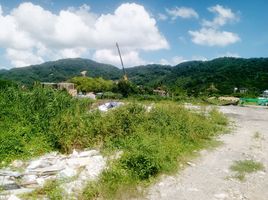  Grundstück zu verkaufen in Thalang, Phuket, Choeng Thale