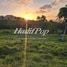  Land for sale at Puerto Plata, San Felipe De Puerto Plata, Puerto Plata, Dominican Republic