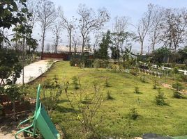  Land for sale in Nakhon Ratchasima, Mu Si, Pak Chong, Nakhon Ratchasima