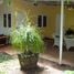 4 Bedroom House for sale in Doi Saket Chiang Mai, Mae Pong, Doi Saket, Chiang Mai