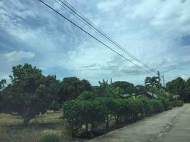  Land for sale in Mae Taeng, Chiang Mai, San Mahaphon, Mae Taeng