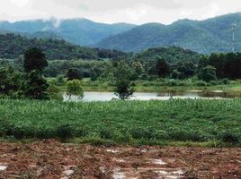  Grundstück zu verkaufen in Dan Chang, Suphan Buri, Huai Khamin, Dan Chang, Suphan Buri