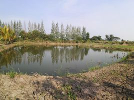  Land for sale in Pathum Thani, Bo Ngoen, Lat Lum Kaeo, Pathum Thani
