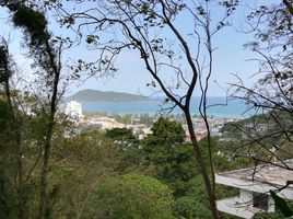  Land for sale in Patong Beach, Patong, Patong