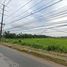  Land for sale in Choeng Noen, Mueang Rayong, Choeng Noen