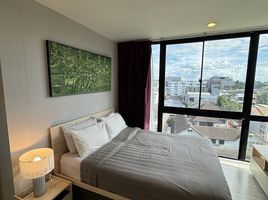 1 Schlafzimmer Appartement zu vermieten im Palm Springs Nimman Areca, Suthep, Mueang Chiang Mai, Chiang Mai