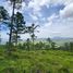  Land for sale in Valle De Angeles Francisco Morazan, Valle De Angeles, Francisco Morazan