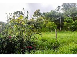  Land for sale in Nicoya, Guanacaste, Nicoya