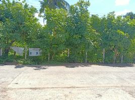  Land for sale in Ta-Ong, Mueang Surin, Ta-Ong