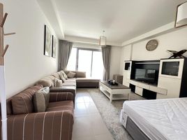 1 Bedroom Condo for sale at Pacific Tonga, Pacific, Al Marjan Island