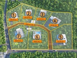  Land for sale in Rim Tai, Mae Rim, Rim Tai