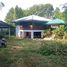  Land for sale in Den Chai Phrae, Mae Chua