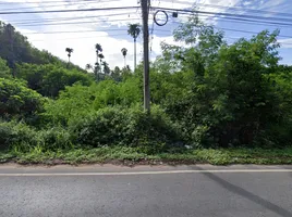  Land for sale in Surat Thani Night Market, Talat, Talat