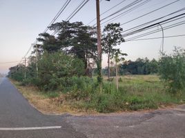  Grundstück zu verkaufen in Pa Tio, Yasothon, Krachai