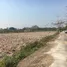  Grundstück zu verkaufen in San Sai, Chiang Mai, Pa Phai, San Sai