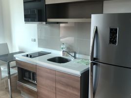 1 Bedroom Condo for rent at Rhythm Sukhumvit 50, Phra Khanong, Khlong Toei