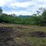  Land for sale in Nicoya Guanacaste, Nicoya, Guanacaste