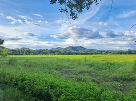  Grundstück zu verkaufen in Doi Saket, Chiang Mai, Mae Pong, Doi Saket