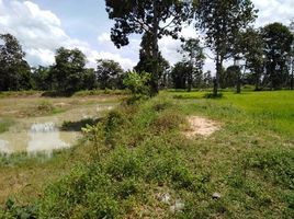  Land for sale in Chonnabot, Khon Kaen, Kut Phia Khom, Chonnabot