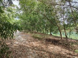  Land for sale in Chak Phong, Klaeng, Chak Phong