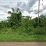  Land for sale in Phetchabun, Sap Samo Thot, Bueng Sam Phan, Phetchabun