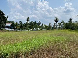  Land for sale in Takua Thung, Phangnga, Lo Yung, Takua Thung