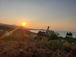  Grundstück zu verkaufen in Koh Samui, Surat Thani, Bo Phut