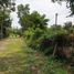  Land for sale in Chak Phong, Klaeng, Chak Phong