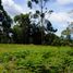  Land for sale in Colombia, Rionegro, Antioquia, Colombia