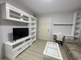 Студия Кондо в аренду в Coo Condo Phitsanulok, Nai Mueang, Mueang Phitsanulok, Phitsanulok, Таиланд