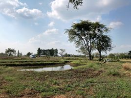  Land for sale in Khok Samrong, Lop Buri, Sakae Rap, Khok Samrong