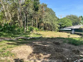  Land for sale in Phuket Chaloem Phrakiat Park, Talat Nuea, Talat Nuea