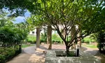 Communal Garden Area at The Waterford Sukhumvit 50