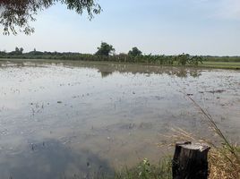 在大城出售的 土地, Chiang Rak Noi, Bang Pa-In, 大城