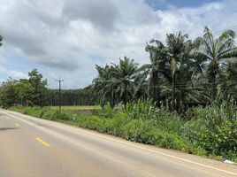  Grundstück zu verkaufen in Bo Rai, Trat, Nong Bon, Bo Rai, Trat