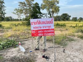 在Dan Khun Thot, 呵叻府出售的 土地, Non Mueang Phatthana, Dan Khun Thot