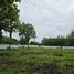  Land for sale in Mae Rim Chiang Mai, Don Kaeo, Mae Rim, Chiang Mai
