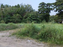  Land for sale in Pak Nam, Mueang Krabi, Pak Nam