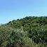  Land for sale at Olón, Manglaralto, Santa Elena, Santa Elena, Ecuador